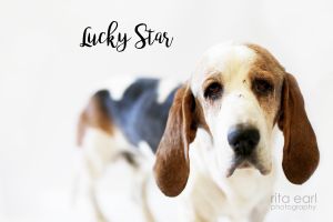 Lucky-Star