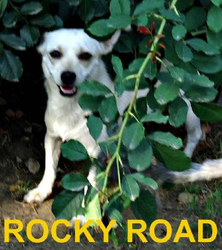 Rocky Road detail page