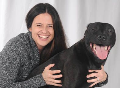 Duster, an adoptable Black Labrador Retriever, American Staffordshire Terrier in Valparaiso, IN, 46385 | Photo Image 2