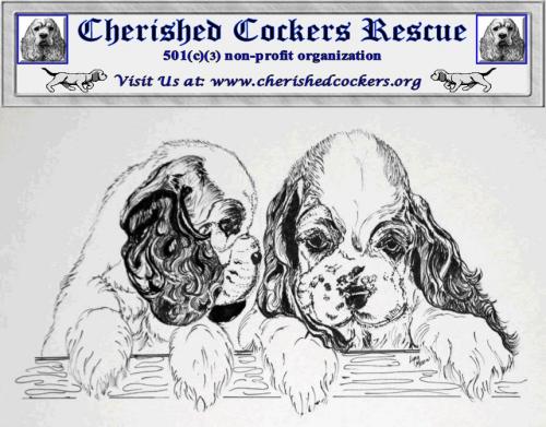 Cherished sales cocker rescue