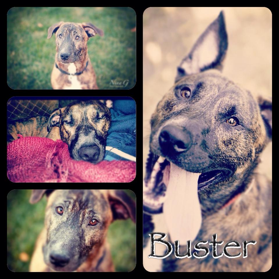 Buster detail page