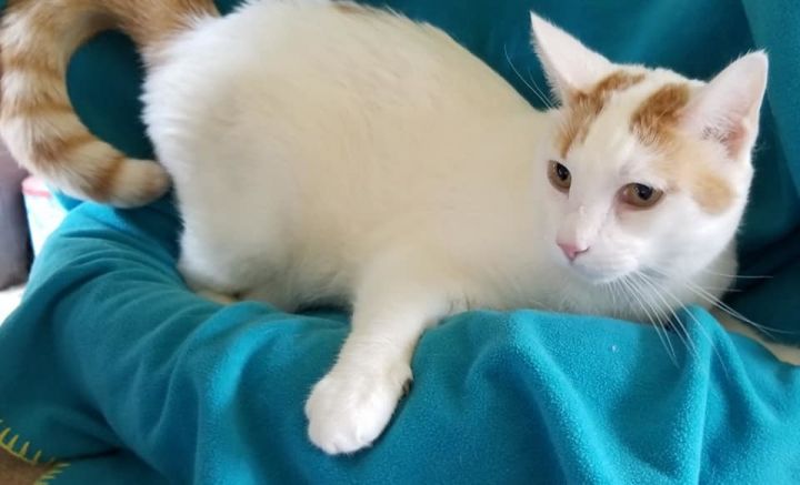 Maddie Purrkins 2