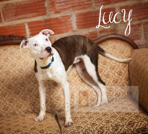 Lucy Leu 2