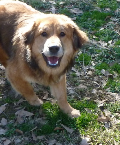 Teddy Ruxpin!