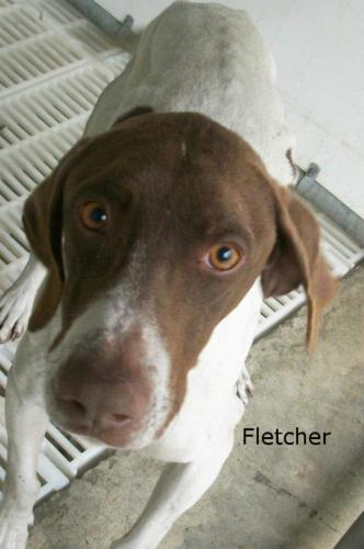 Fletcher 1