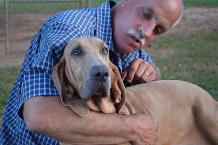 Nell-GA, an adopted Redbone Coonhound in Carrollton, GA_image-2