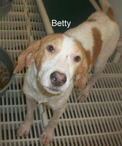 Betty   was seized