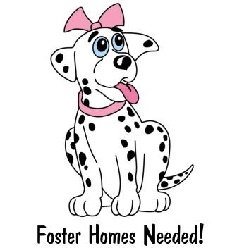 FOSTER HOMES NEEDED!  Save a Life