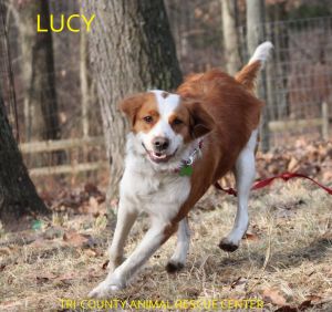 Lucy