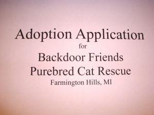 Adopt App for BDF Cat Rescue (in comment section)