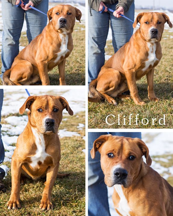 Clifford detail page