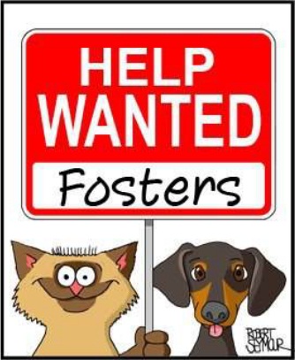 FOSTERS NEEDED!!!