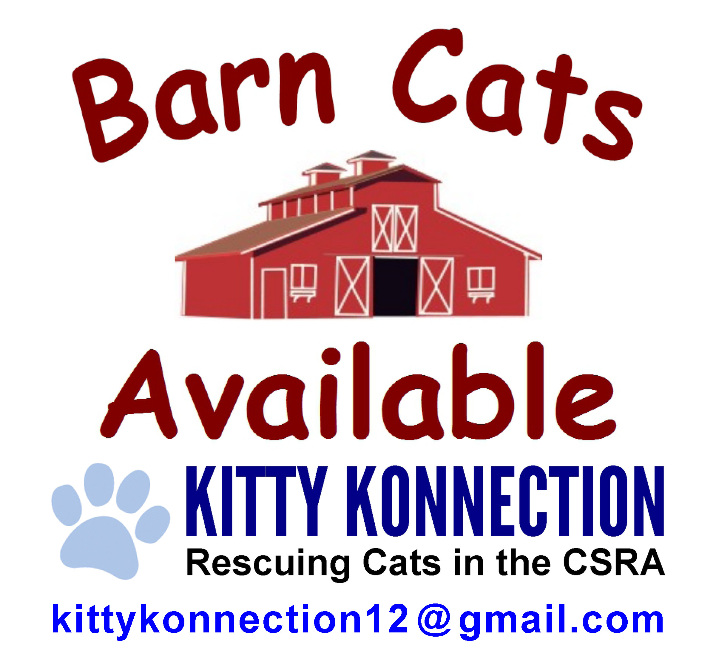 Barn Cats Available, an adoptable Domestic Short Hair in Evans, GA, 30809 | Photo Image 1