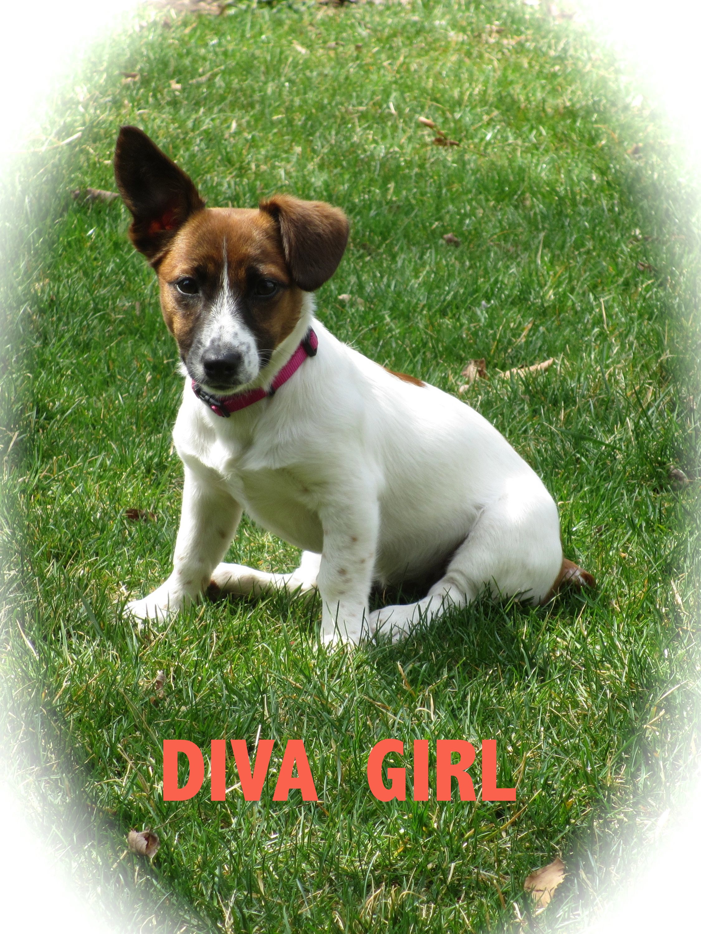 Diva Girl detail page