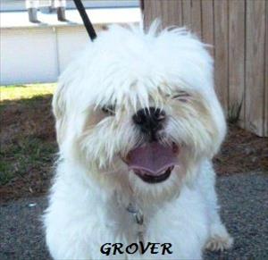 Grover 2