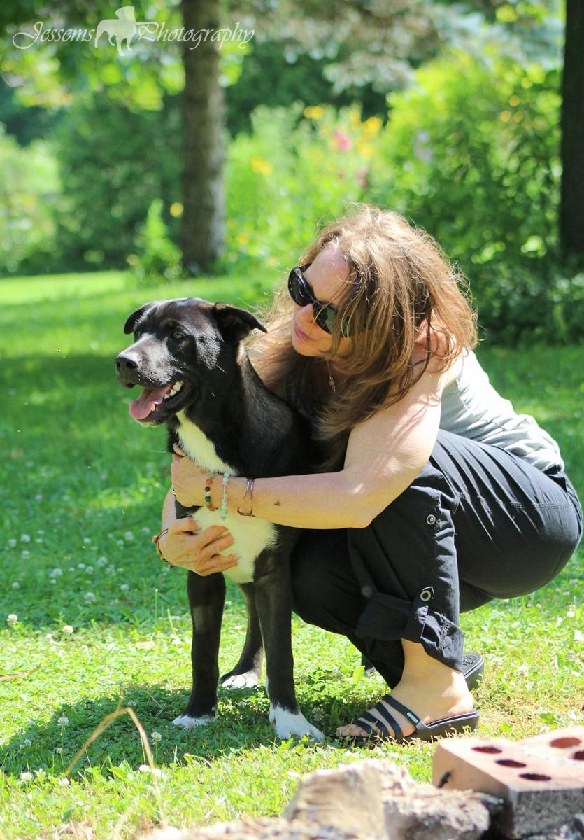 HOW CAN YOU HELP??, an adoptable Labrador Retriever, Husky in Stoney Creek, ON, L8G 3H1 | Photo Image 1