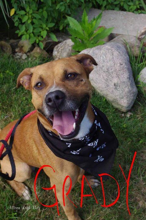 521// GRADY // 5 (SPONSORED) (ADOPTED) 3