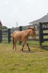 Samule photo 2