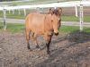 Samule photo 3
