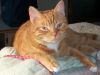 Jasper photo 1