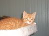 Jasper photo 2