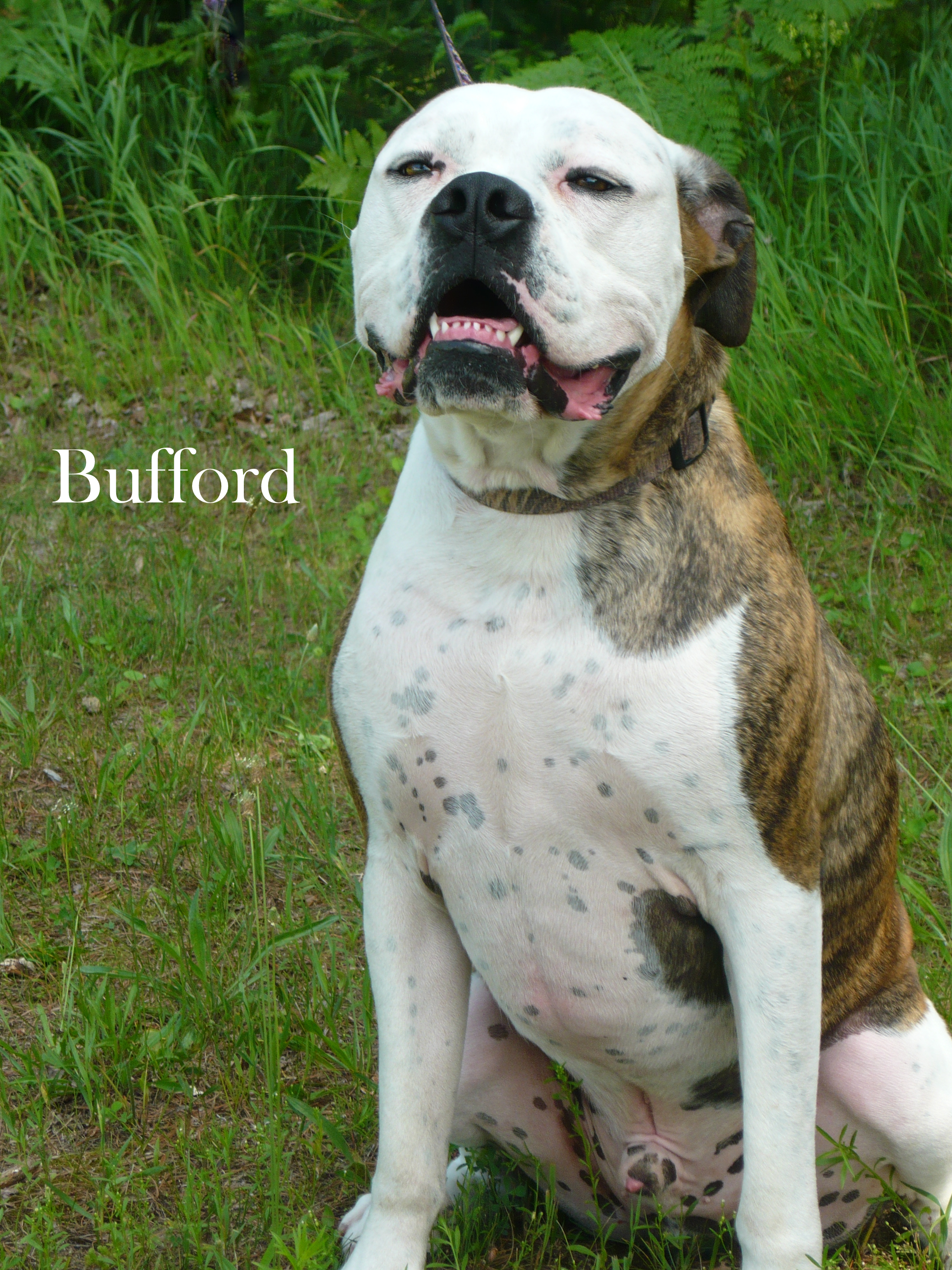 Bufford detail page