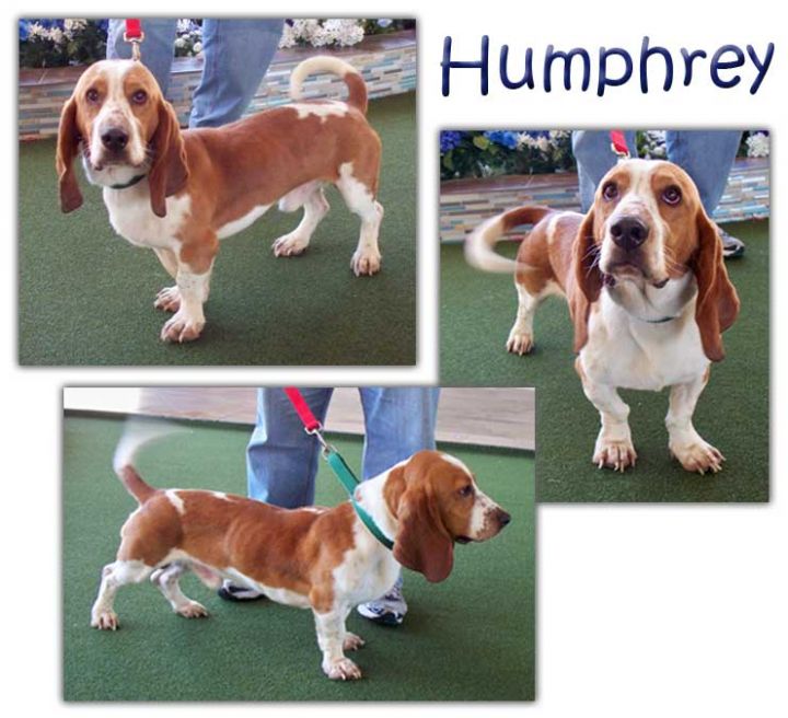 Humphrey 1