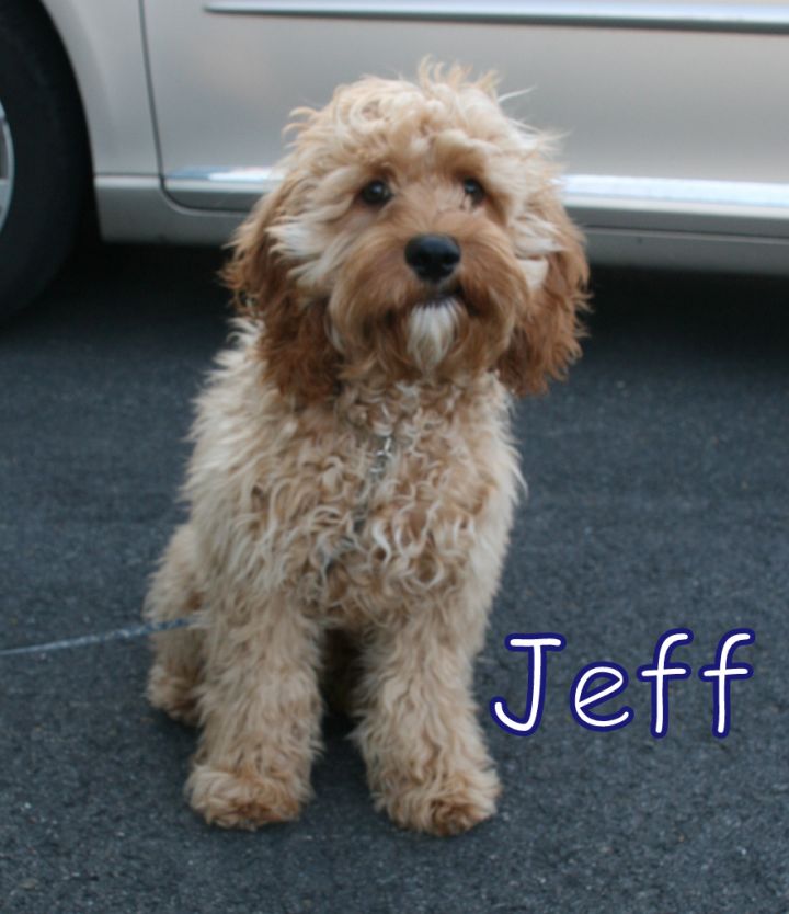 NJ - Jeff 1