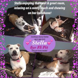 Stella