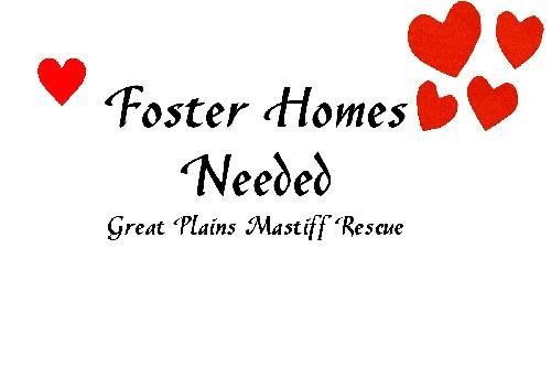 FOSTERS NEEDED 1