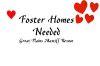 FOSTERS NEEDED photo 1