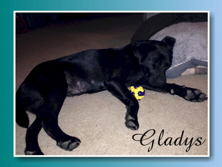 Gladys 2