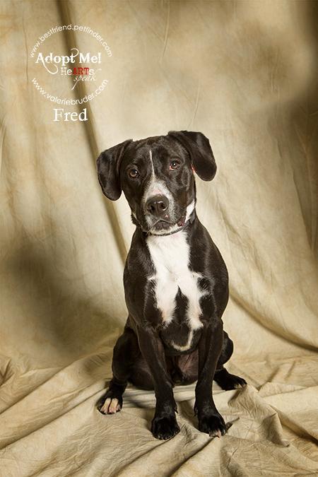 Fred 2