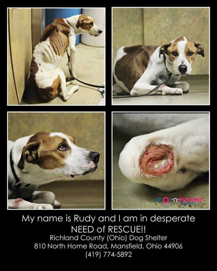 Rudy - Please Help!! 2