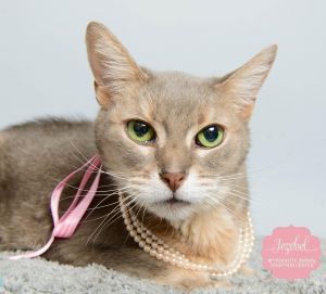 Jess (Jezebel) Urgent