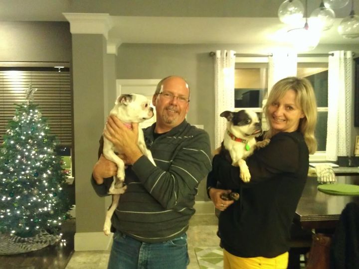 OAKLEY - ADOPTED!!! 1