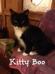 Kitty Boo 3