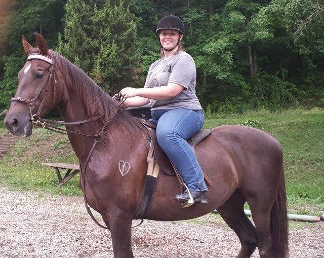 Ellie. Intermediate lesson horse 4