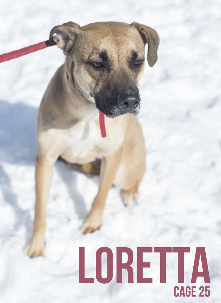 Iso-1  Loretta/ADOPTED 1