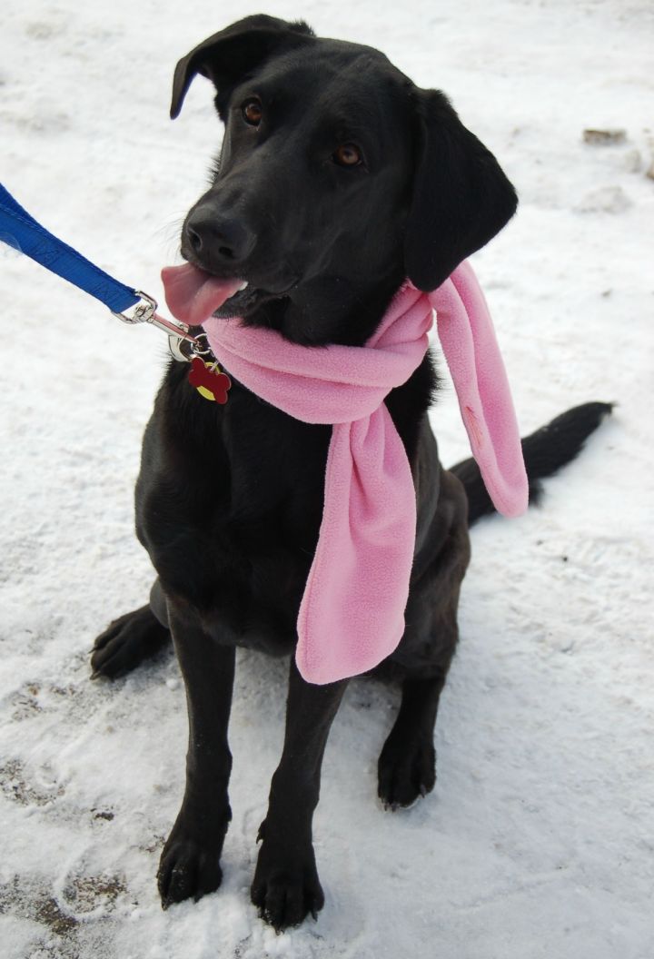 Carly - Adopted 2
