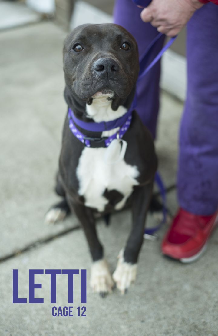 12  Letty/ADOPTED 3