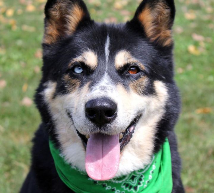 Shiloh: Adopted! 1