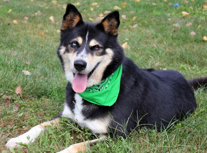 Shiloh: Adopted! 2