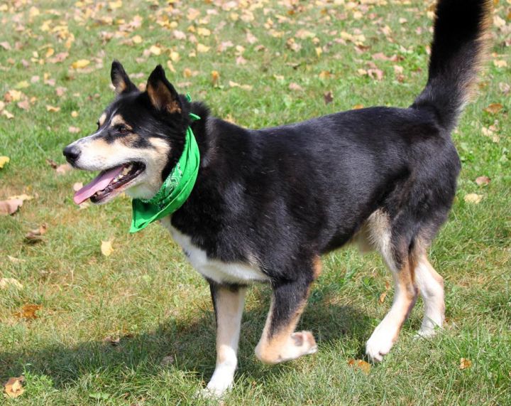 Shiloh: Adopted! 3