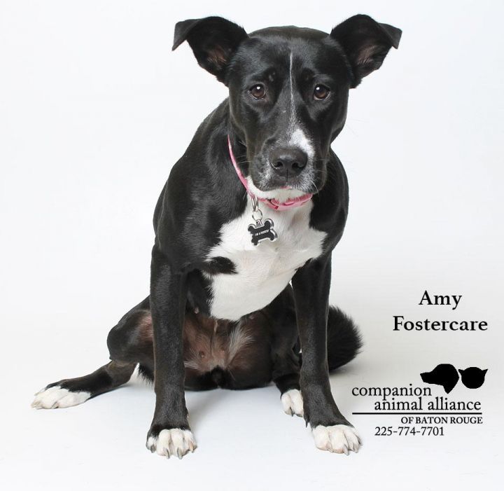 Amy (Foster) 2