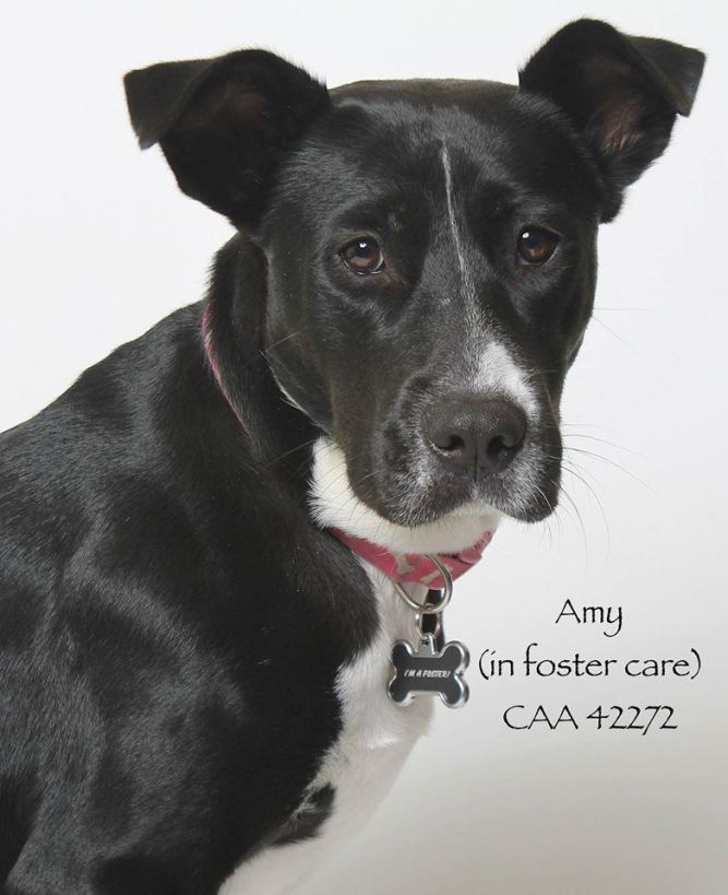 Amy (Foster)