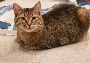 Gretel, Senior Female unknown