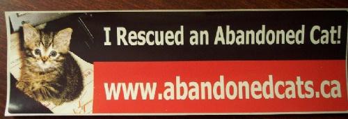 **FOSTER INFO**