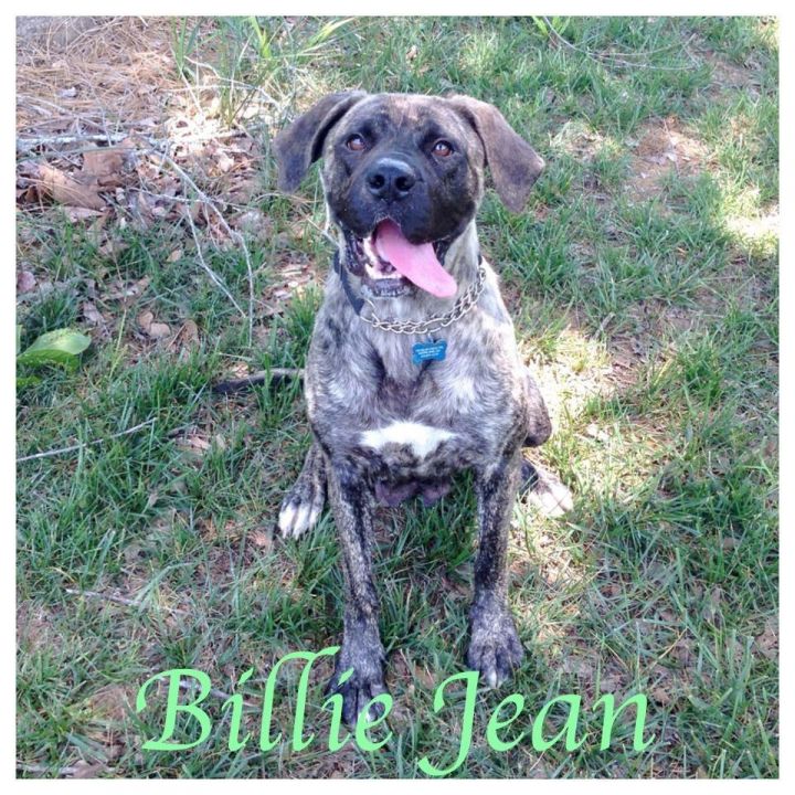 Billie Jean 1