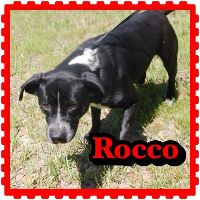 Rocco detail page